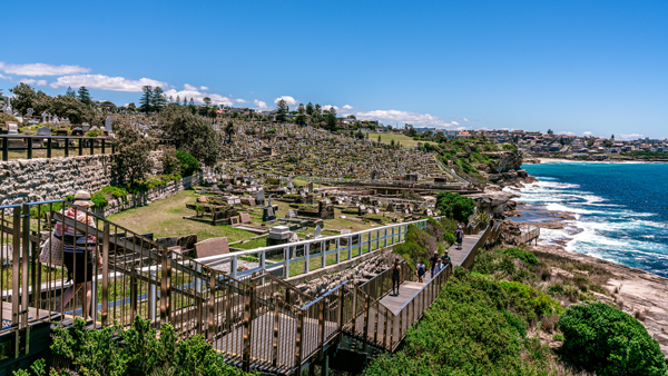 Bondi to Coogee Walk in Sydney