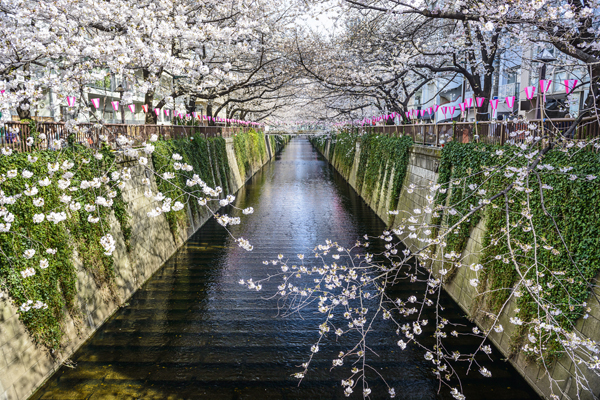 Nakameguro in Tokyo