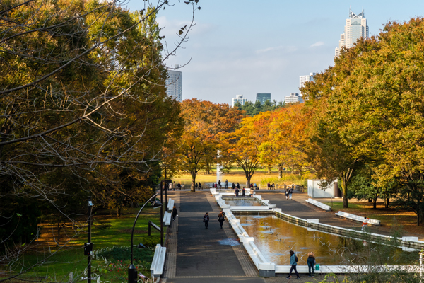 Yoyogi in Tokyo