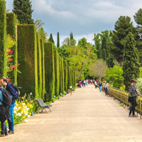 Best-International-Schools-and-Bilingual-Schools-in-Granada