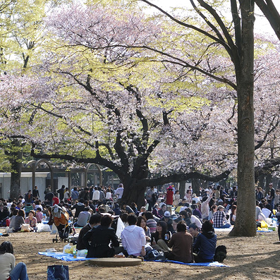 7-Free-Things-to-Do-in-Tokyo