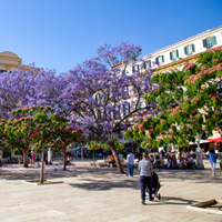 Best-International-Schools-and-Bilingual-Schools-in-Malaga