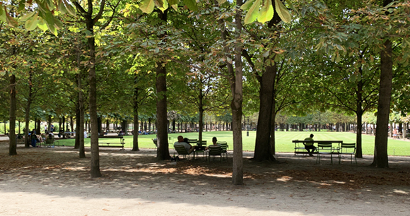 Tuileries Gardens in Paris